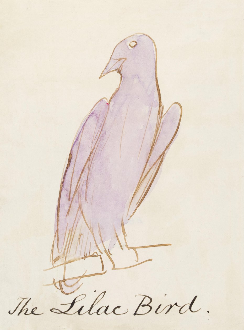 The Lilac Bird, from Sixteen Drawings of Comic Birds by Edward Lear