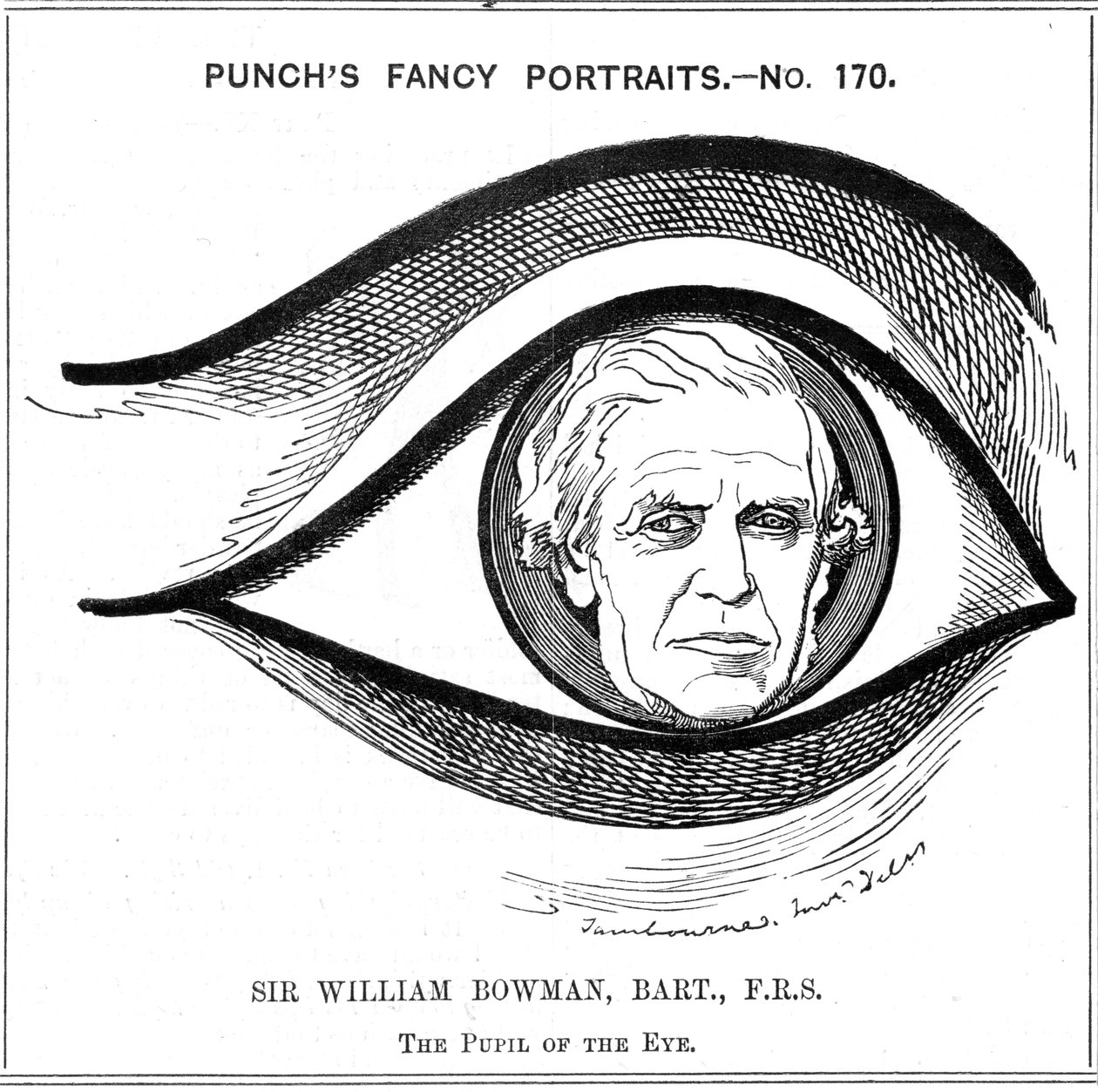 William Bowman, English Anatomist, Surgeon and Ophthalmologist, 1884 by Edward Linley Sambourne