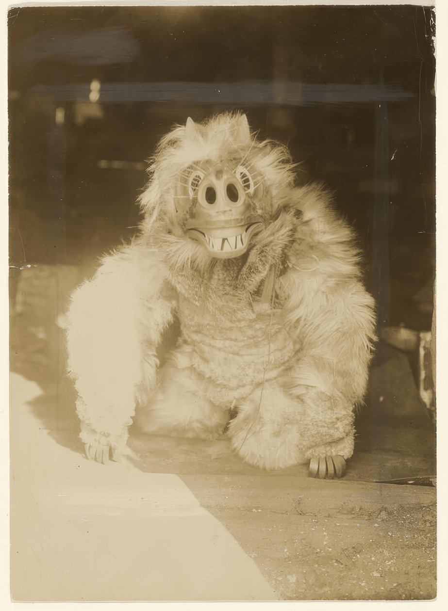 In the Wolf Mask by Edward S. Curtis