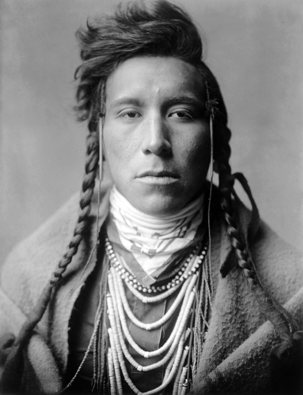 Bird on High Land, Crow Indian, Montana, USA, c. 1908, photo Edward S. Curtis by Edward Sheriff Curtis