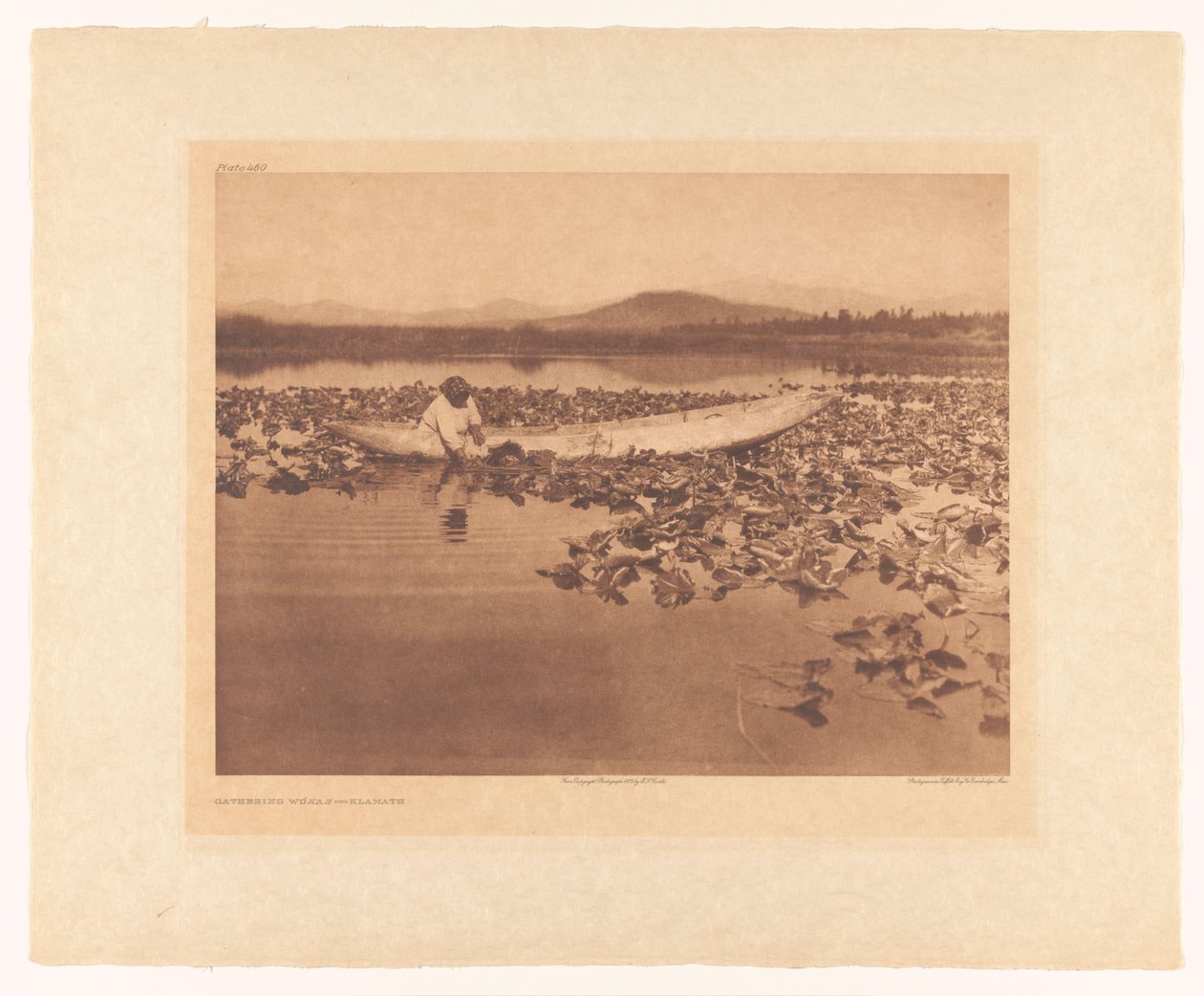 Gathering Wokas - Klamath by Edward Sheriff Curtis