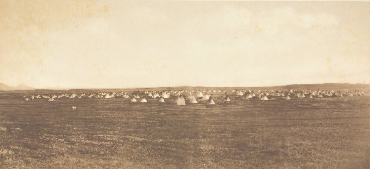 Sun Dance Encampment - Piegan, 1900 by Edward Sheriff Curtis