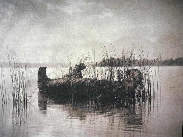 The Rush Gatherer, Montana by Edward Sheriff Curtis