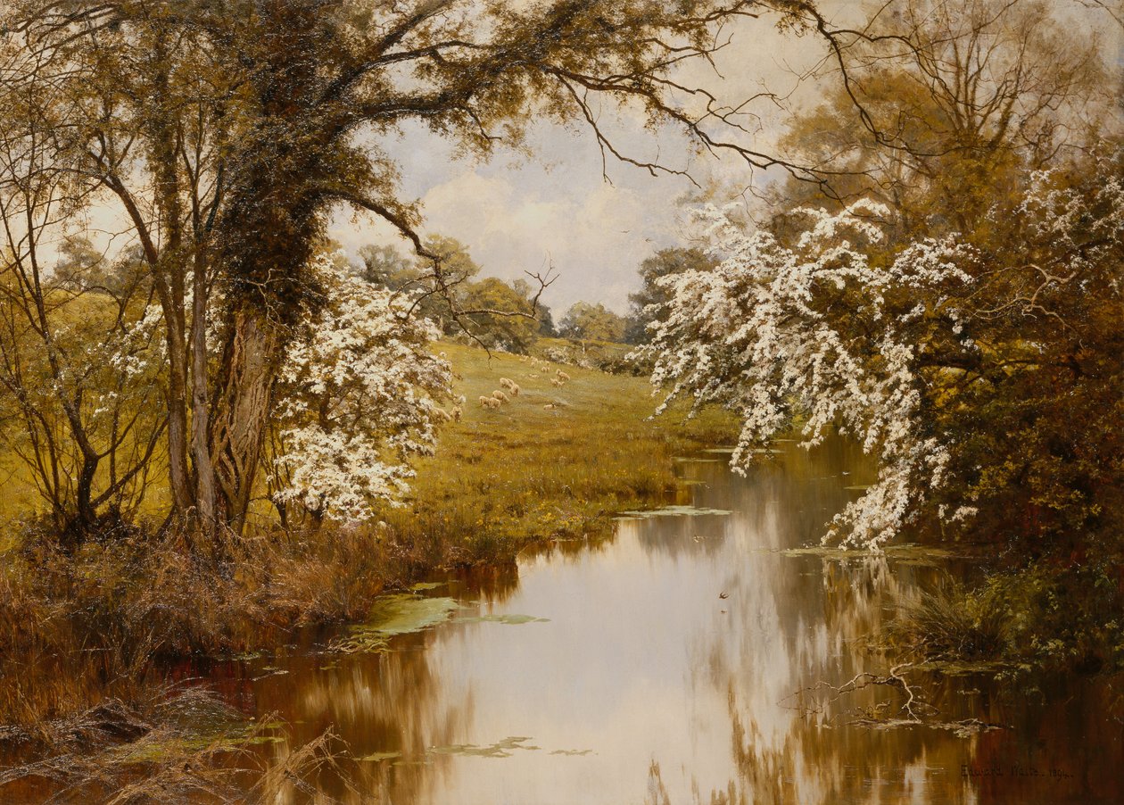 Where Spreading Hawthorns Gaily Bloom by Edward Wilkins Waite