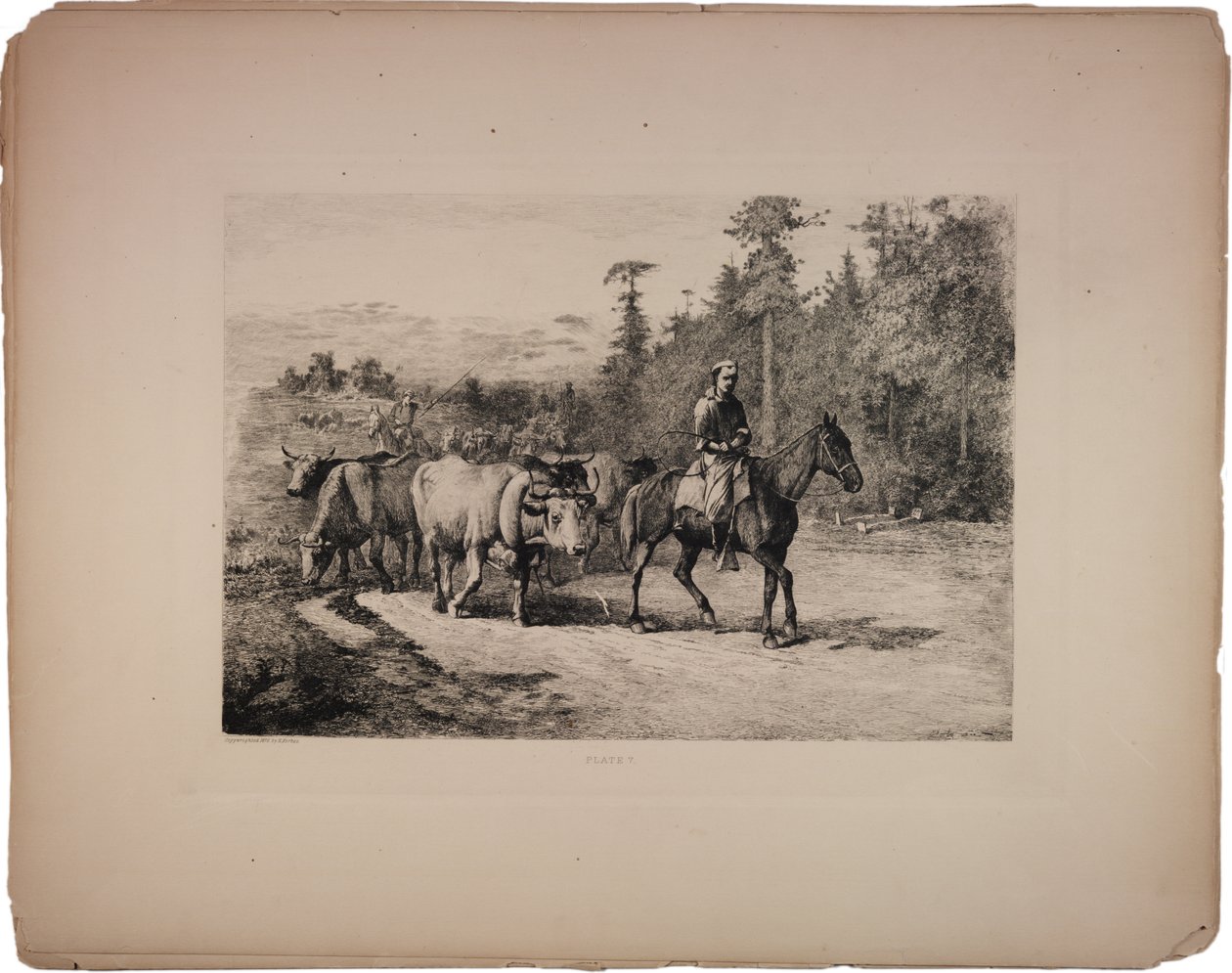 The Leader of the Herd, 1876 by Edwin Austin Forbes