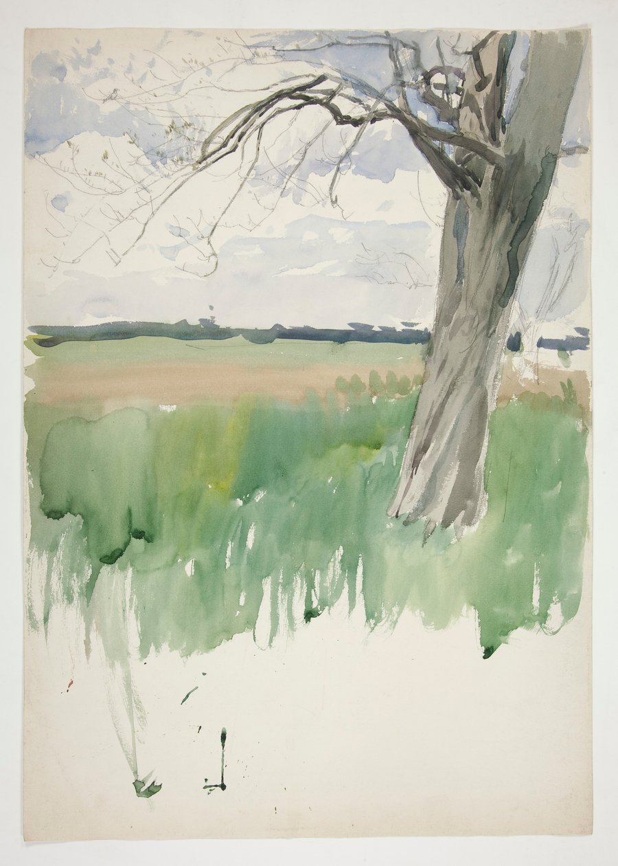 Study of a Field and Tree by Edwin Austin Abbey