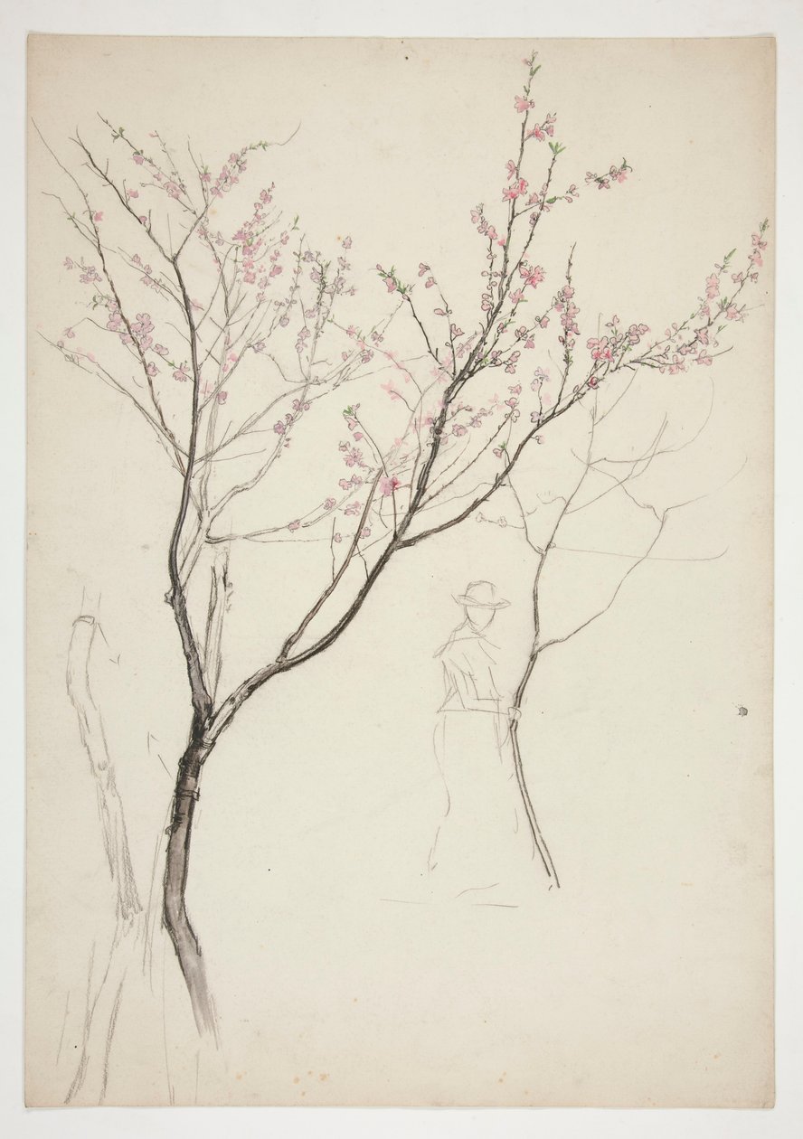 Study of a Figure Beneath a Flowering Tree by Edwin Austin Abbey