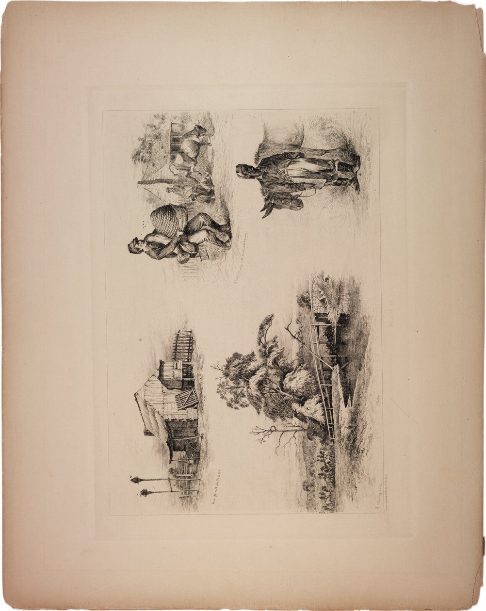 Gone Off with the Yanks by Edwin Austin Forbes