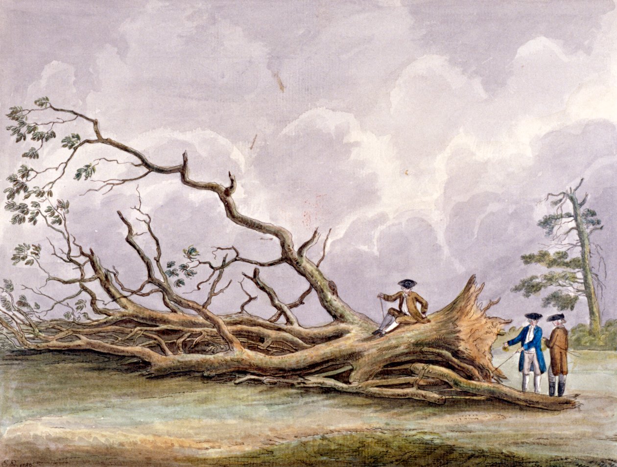 Trees Damaged by a Storm of 15th October, Roehampton, London, 1780 by Edwin Edwards
