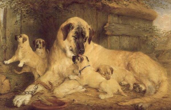One Touch of Nature Maketh the Whole World Kin by Edwin Frederick Holt