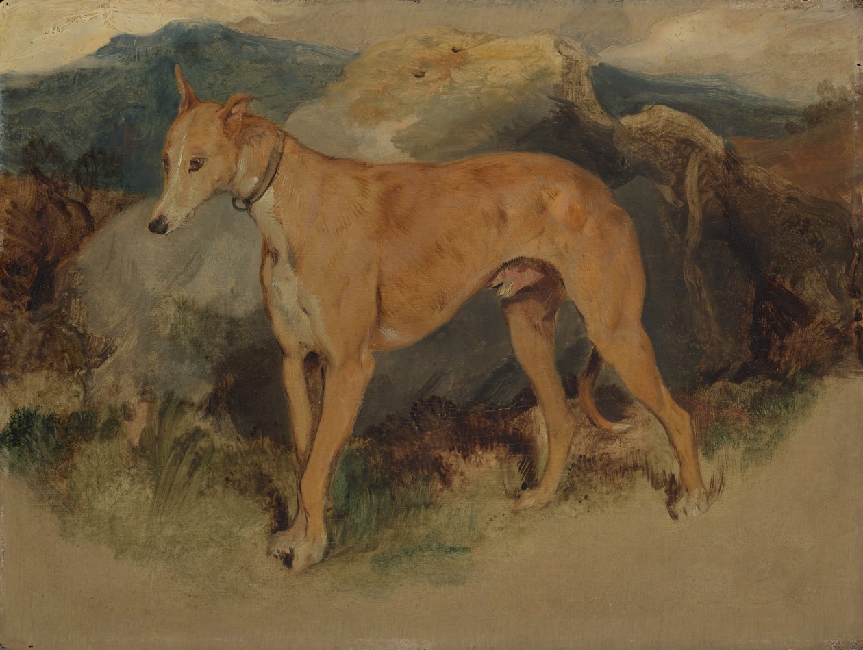 A Deerhound by Edwin Landseer