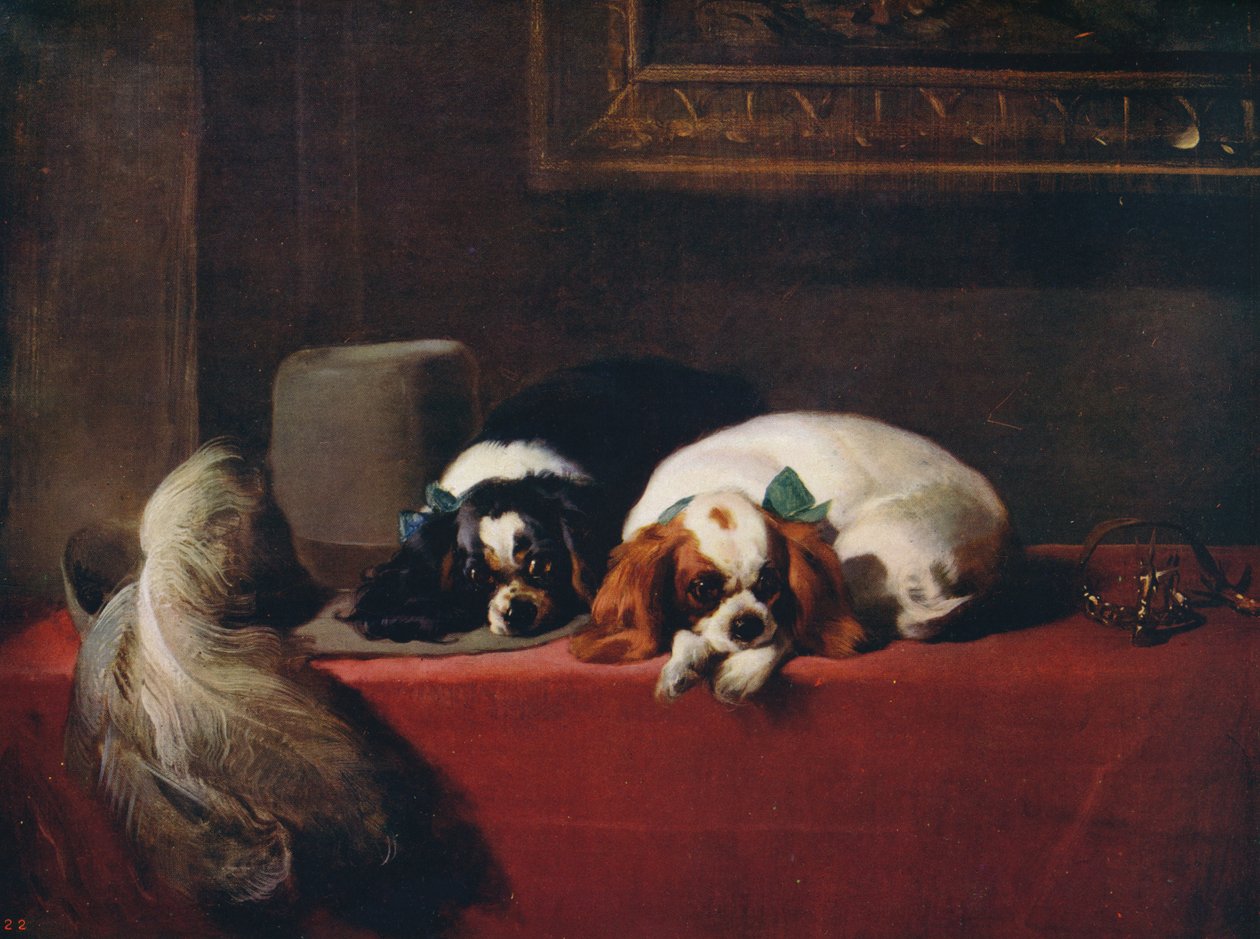 King Charles Spaniels The Cavaliers' Pets by Edwin Landseer