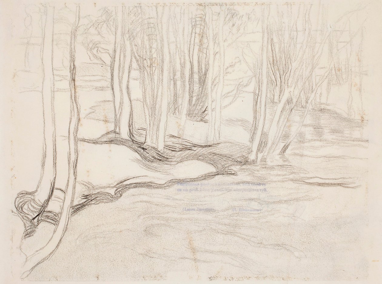 Untitled by Eero Järnefelt