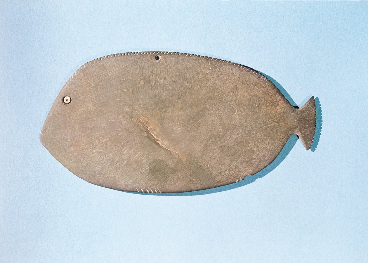 Palette in the Shape of a Fish, Pre-Dynastic Period (5000-3100 BC) by Egyptian