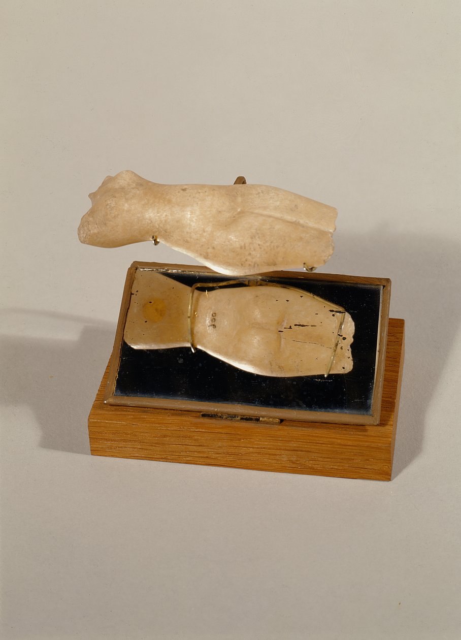 Torso of a woman by Egyptian 18th Dynasty