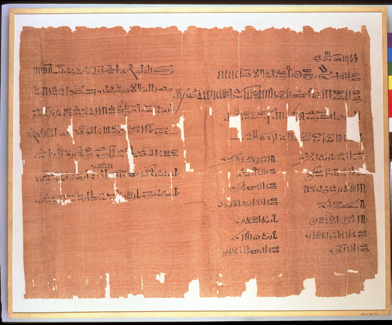 Will made by a Theban lady named Naunakhte, distributing her property among the children of her two marriages, Hieratic inscription, c.1156-51 BC by Egyptian 20th Dynasty