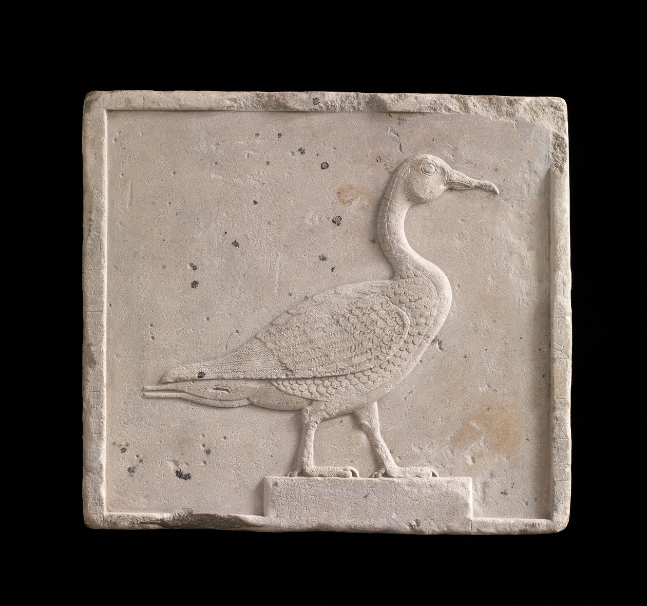 Plaque depicting a goose, 26th Dynasty or Saite period, 664-525 BC or later limestone by Egyptian 26th Dynasty