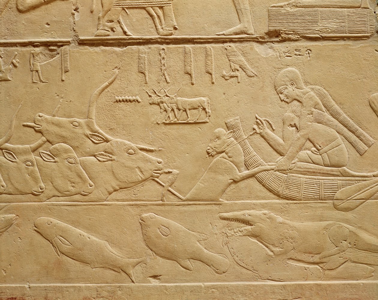 Cattle crossing a ford, from the Mastaba of Kagemni by Egyptian 6th Dynasty