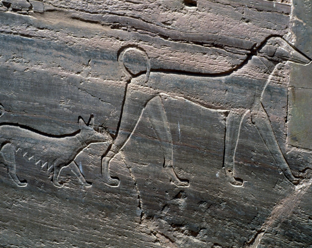 Couple of Dogs, Relief from Entrance, Tomb of Sarenput II, Tombs of Princes, Qubbet el-Hawa, West Bank of Nile at Aswan, Egyptian Civilisation, Middle Kingdom, Dynasty XII by Egyptian 12th Dynasty