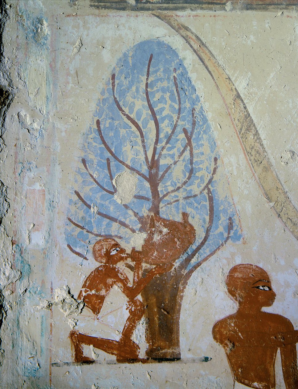 A Peasant Drinks from a Waterskin by Egyptian 18th Dynasty