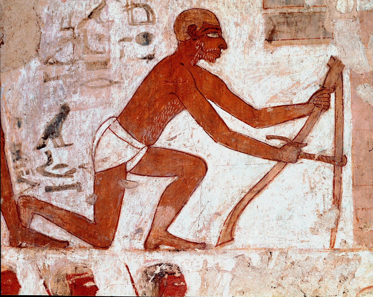 Tomb of Rekhmire: Ploughman with Agricultural Tool by Egyptian 18th Dynasty