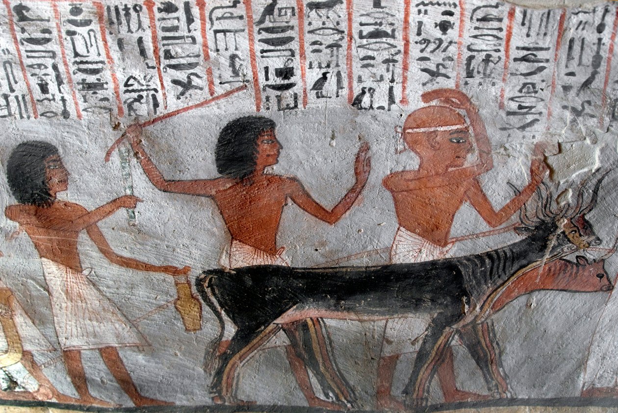 Characters leading betail heads by Egyptian 18th Dynasty