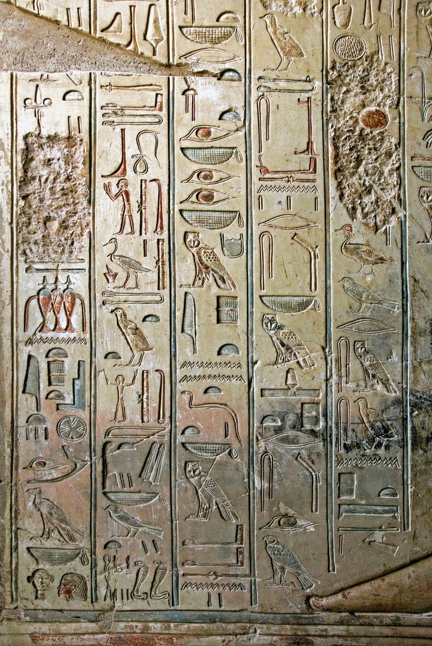 Egyptian Antiquity: Relief and Hieroglyphs of the Tomb of Khaemhat by Egyptian 18th Dynasty