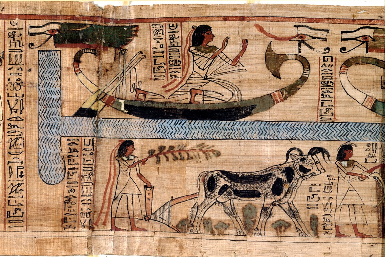 Egyptian antiquity: the name of the late Aner represents on the boat of Osiris, scene of plowing and weighing of souls (psychostasis). Papyrus from a Book of the Dead, 20th dynasty, from Thebes. Turin, Egyptian museum by Egyptian 18th Dynasty
