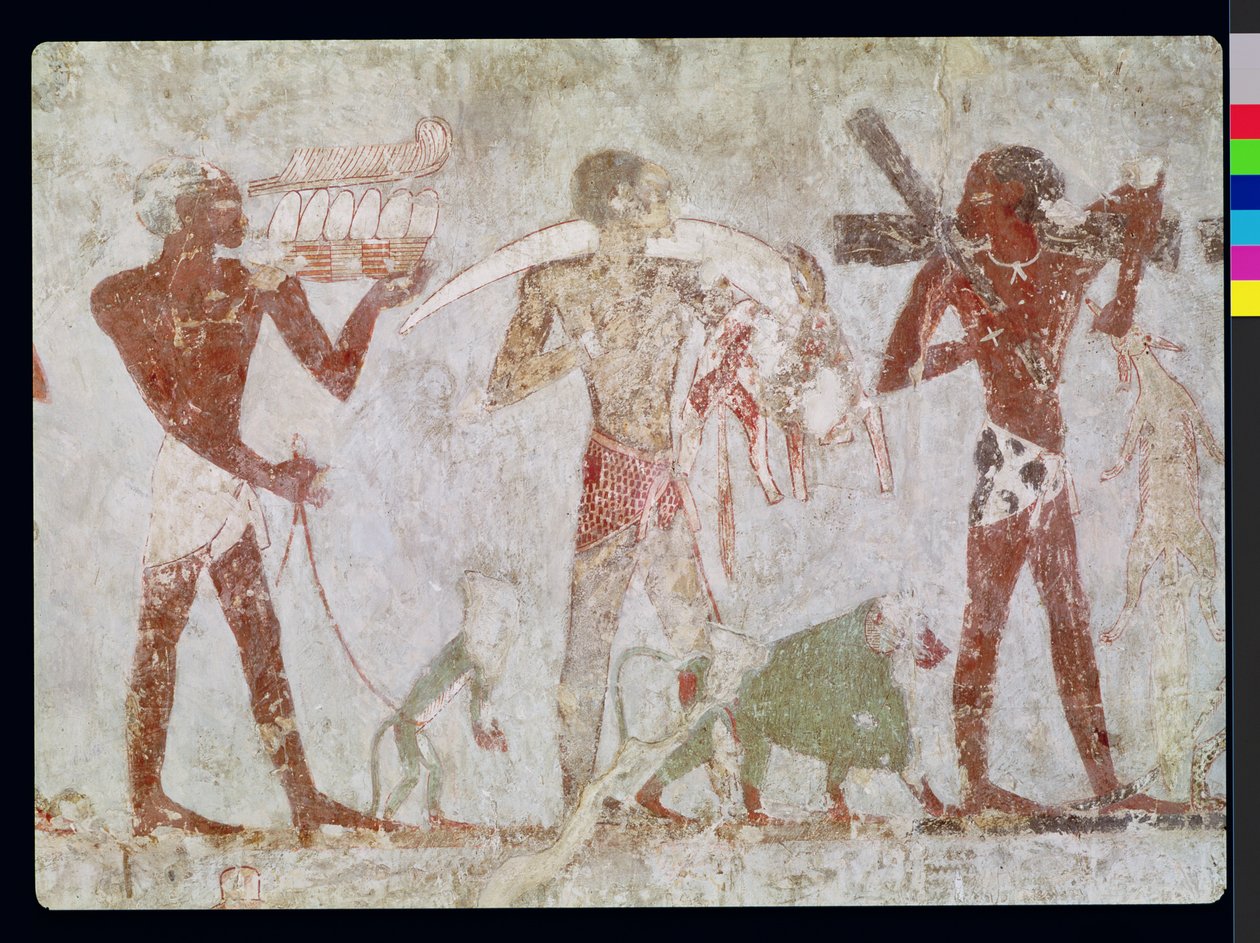 Kushites carrying tributes of gold, ivory and animal skins, from the Tomb of Rekhmire, vizier of Tuthmosis III and Amenhotep II, New Kingdom by Egyptian 18th Dynasty