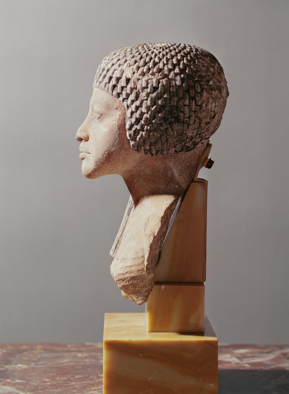 Left profile of the head of a Princess from the family of Akhenaten, New Kingdom (painted limestone) by Egyptian 18th Dynasty