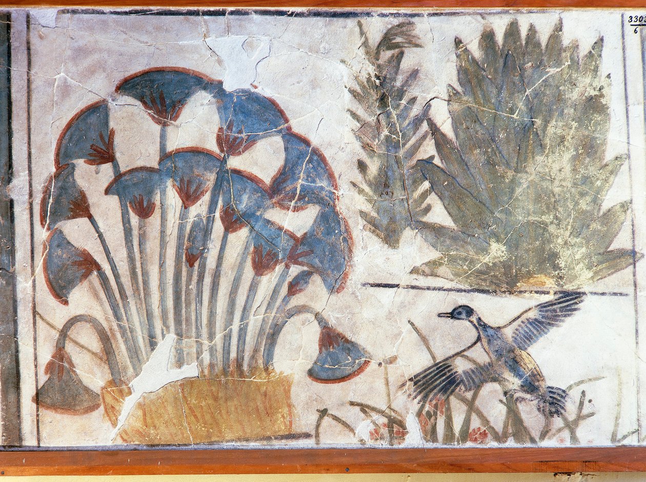 Duck Between Plants, from Palace of Akhenaton, El-Awara, Egypt by Egyptian 18th Dynasty