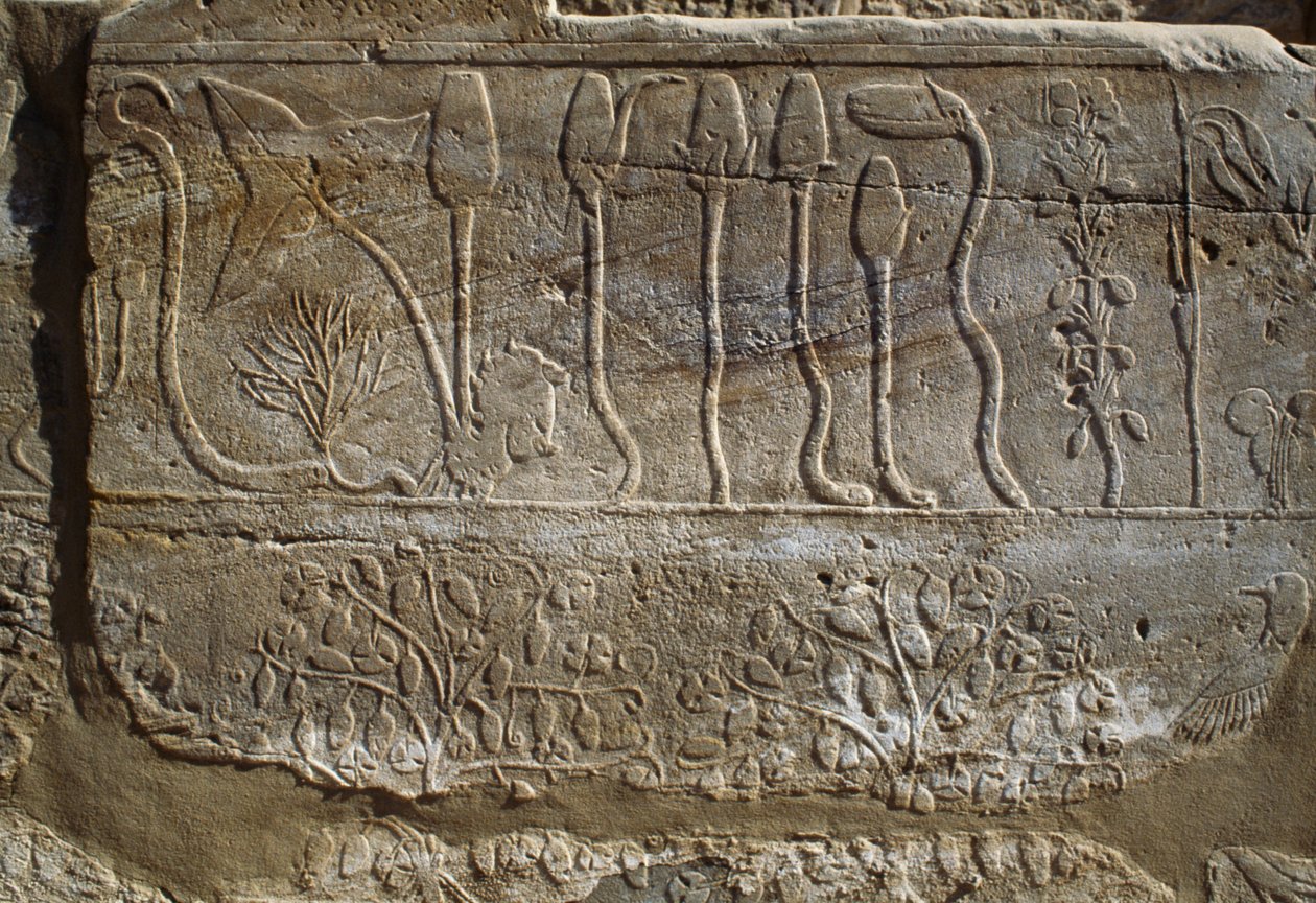 Relief of Animals and Plants Offered to Amun by Thutmose III upon His Return from Campaign of Syria in 1465 BC, Botanical Garden Room, Karnak, Theban Necropolis, Luxor, Egypt, New Kingdom, Dynasty XVIII by Egyptian 18th Dynasty