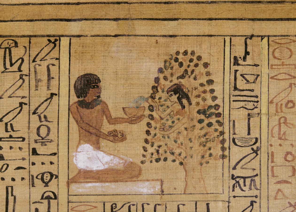 Tree-goddess offers vivifying waters to the deceased by Egyptian 18th Dynasty