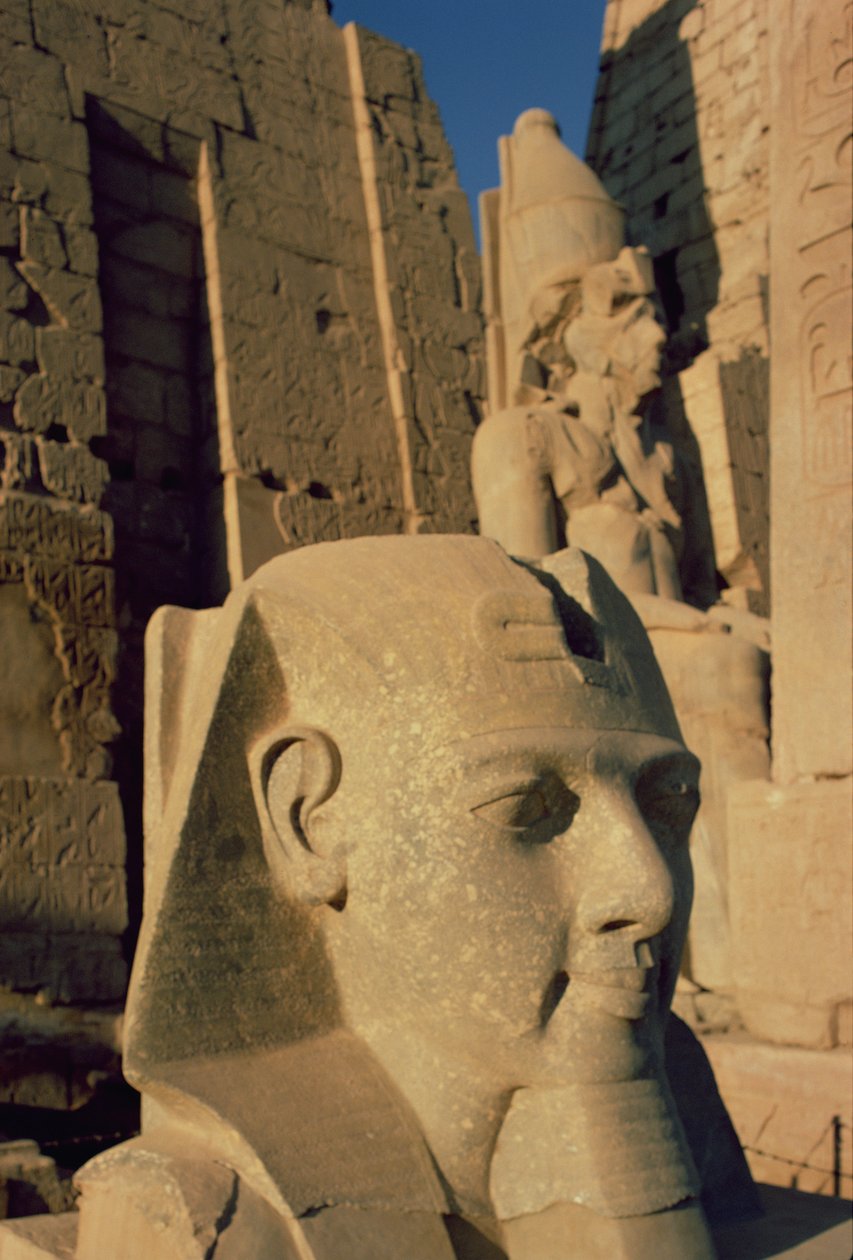 Colossal head of Ramesses II, New Kingdom by Egyptian 19th Dynasty
