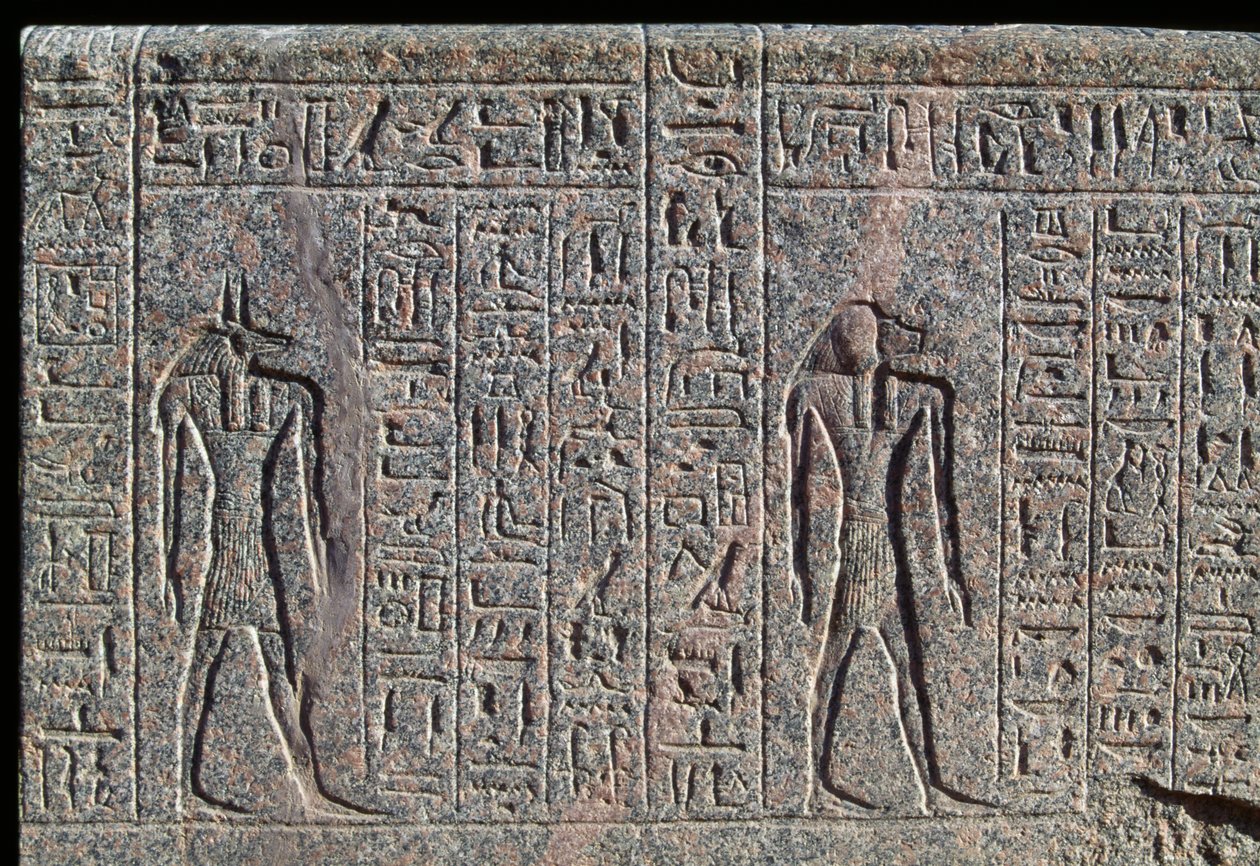 Depiction of Anubis (detail) by Egyptian 19th Dynasty