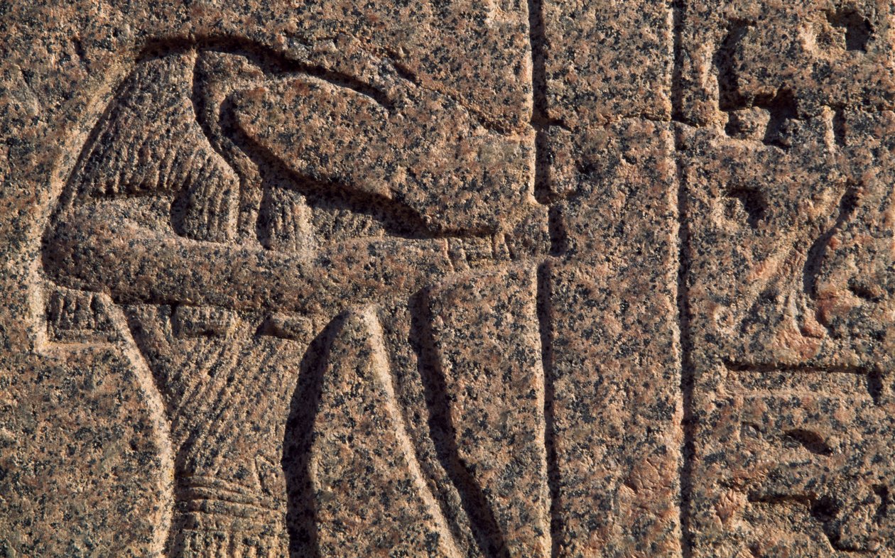 Depiction of Thoth, (detail), Amenhotep