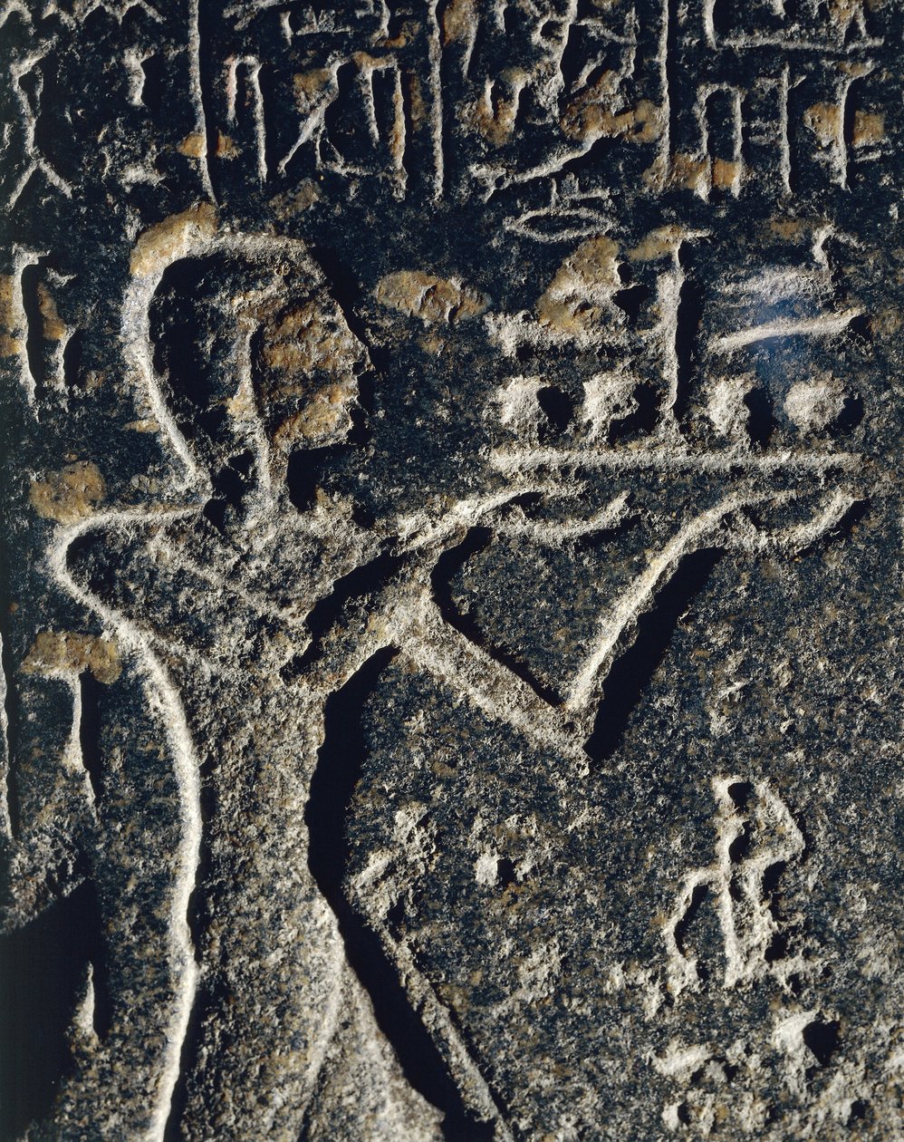 Granite statue depicting Prince Merneptah in worship, dedicated to god Ptah by Egyptian 19th Dynasty
