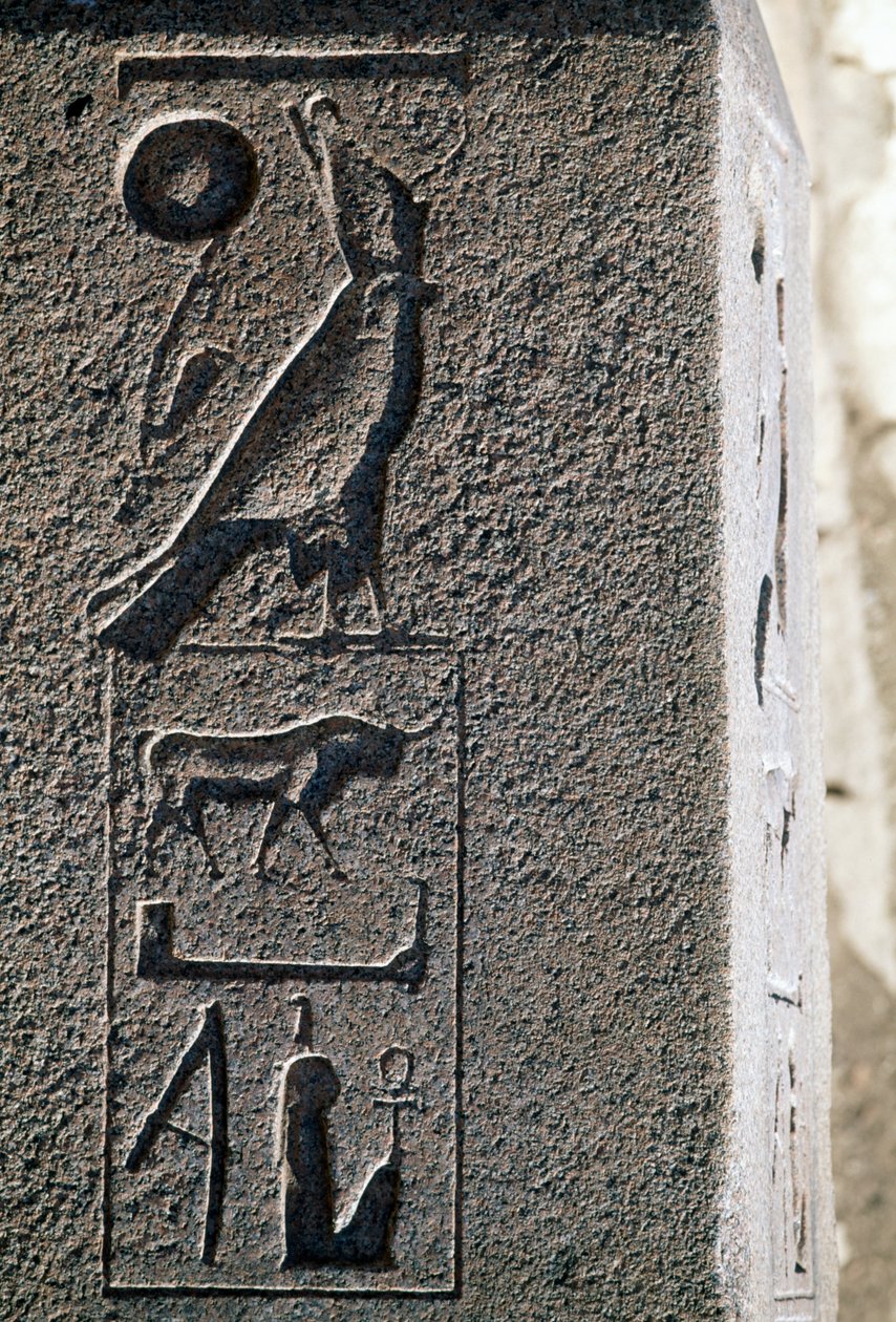 Hieroglyph with name of Horus, Great Temple of Amun, Tanis, Egypt, New Kingdom, Dynasty XIX by Egyptian 19th Dynasty