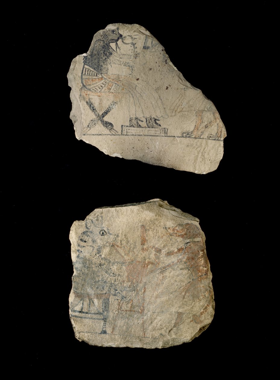 Limestone Ostraca with Humorous Sketches in Red and Black Ink