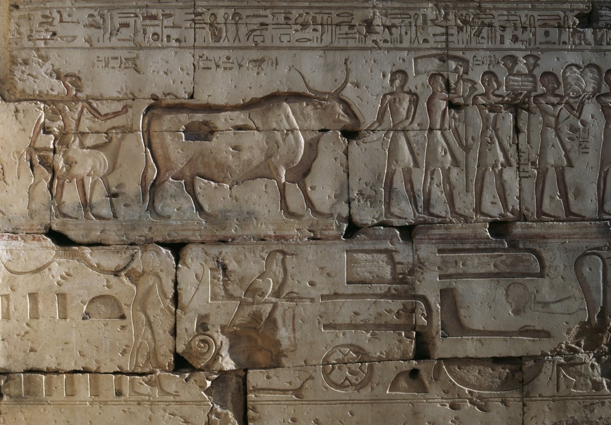 Relief, Temple of Ramses II, Abydos, Egypt by Egyptian 19th Dynasty