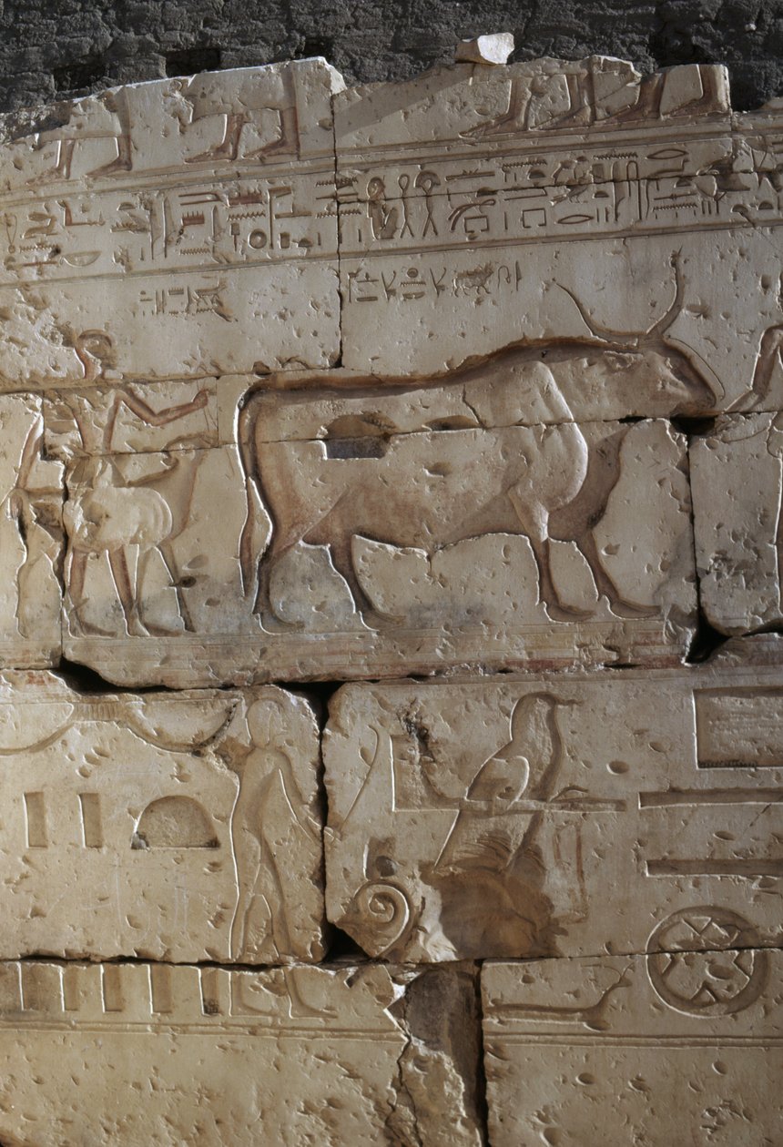 Relief, Temple of Ramses II, Abydos, Egypt, New Kingdom, Dynasty XIX by Egyptian 19th Dynasty