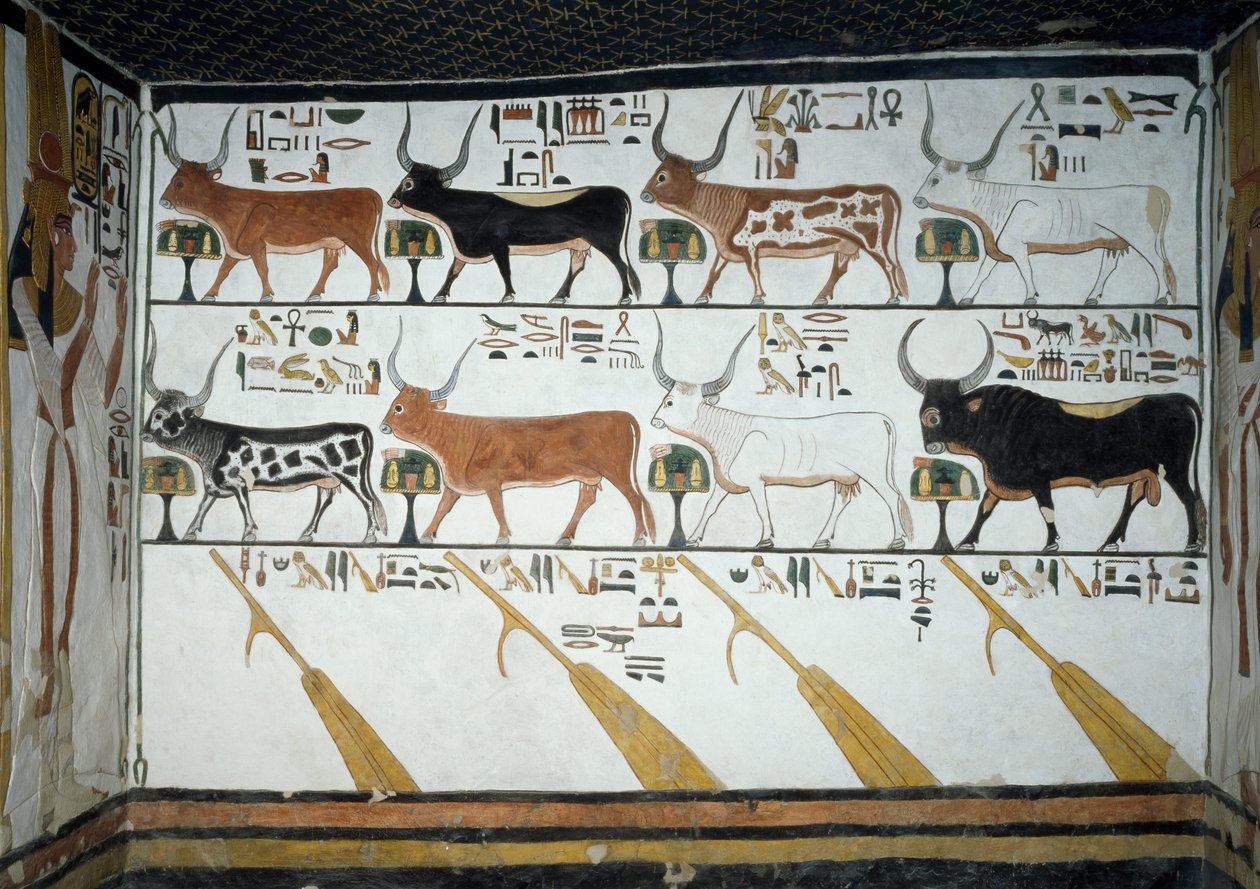 Seven Celestial Cows, Husband Bull and Four Steering Oars (detail) by Egyptian 19th Dynasty