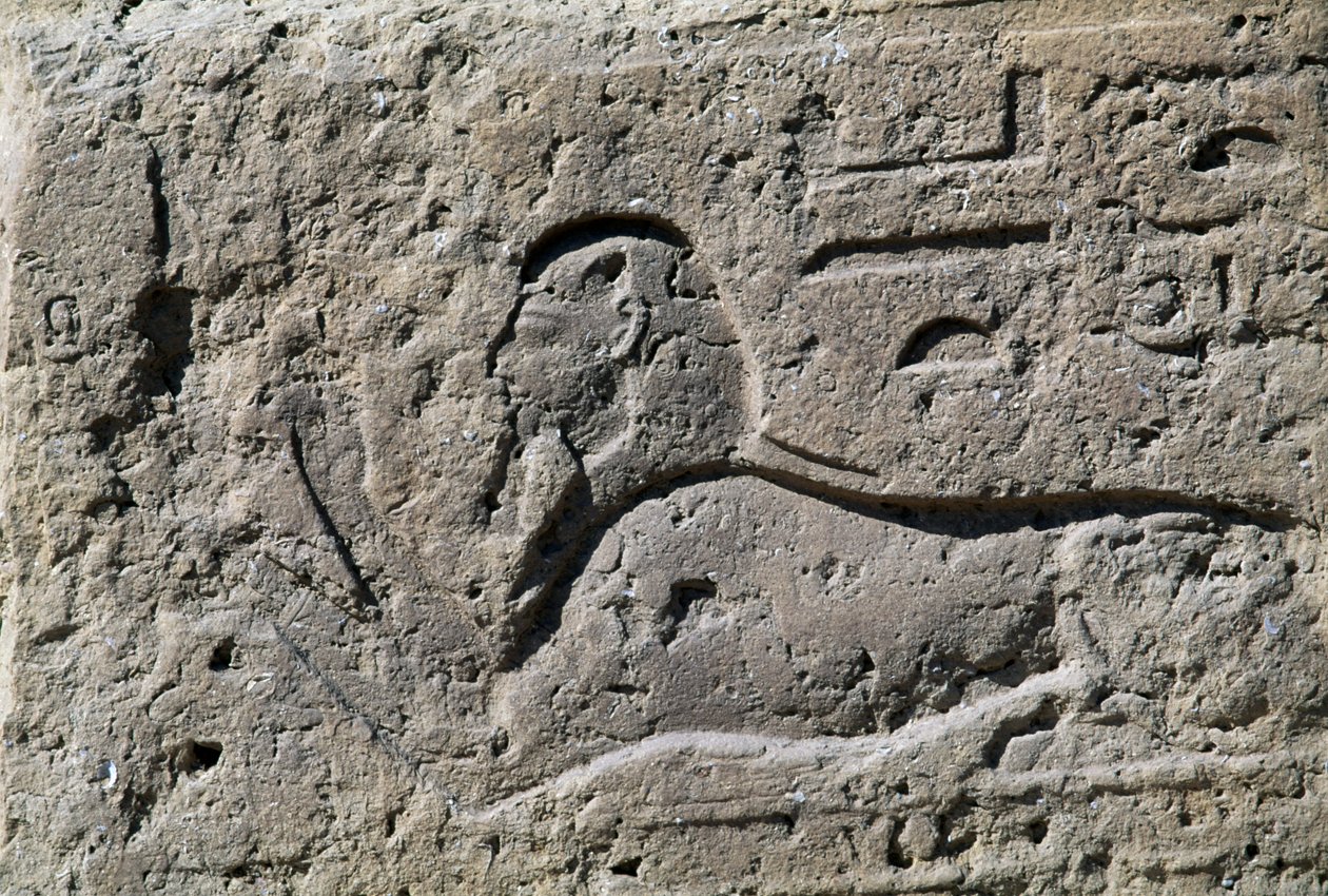 Sphinx, block with relief, Great Temple of Amun, Tanis, Egypt, New Kingdom, Dynasty XIX by Egyptian 19th Dynasty