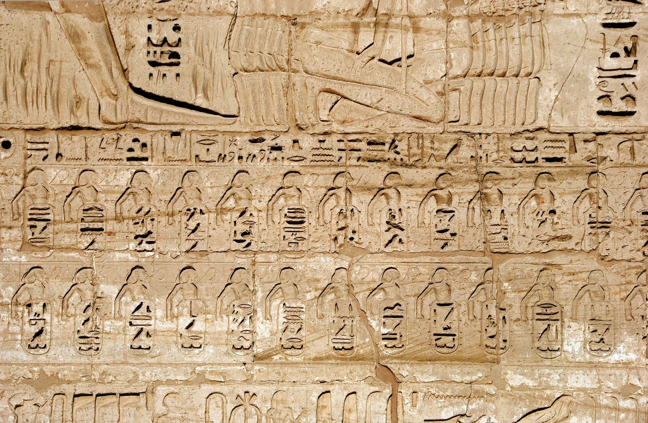 Egyptian antiquity: detail of the reliefs of the first pylon representing the emblems of the cities conquered by Pharaoh Ramses III. Funeral Temple of Ramses III by Egyptian 20th Dynasty