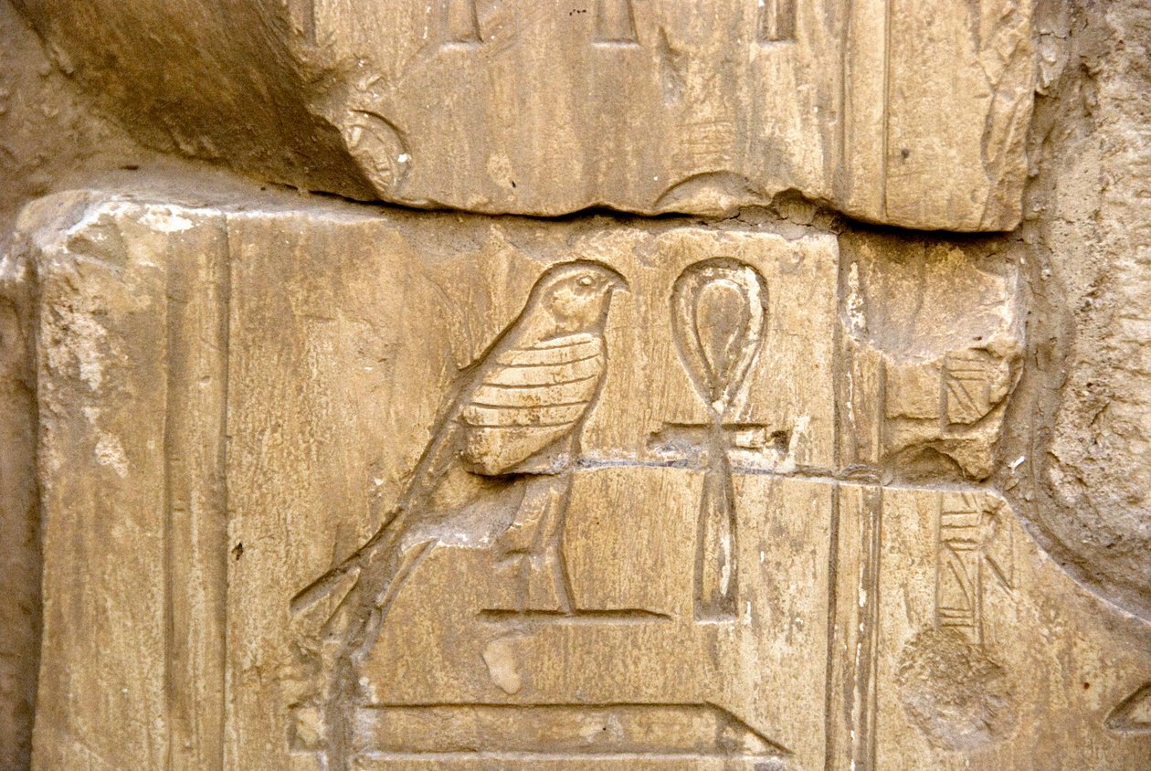 Egyptian antiquity: Cartridge of Ankh Hor. Tomb of Ankh-Hor by Egyptian 26th Dynasty