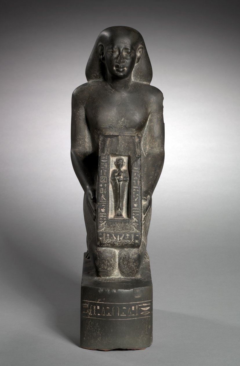 Naophorous Statue of the Finance Officer and Overseer of Fields, Horwedja by Egyptian 27th Dynasty