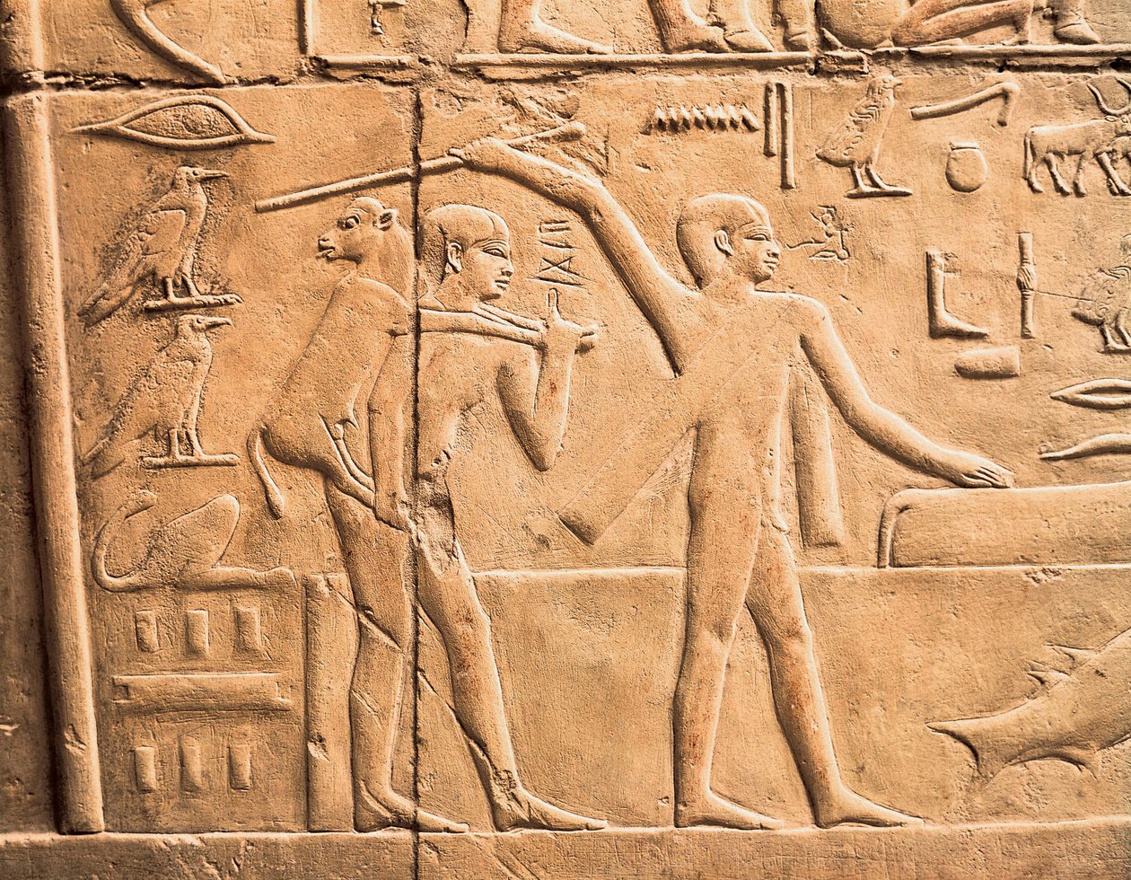 Scenes of farm work (detail) by Egyptian 4th Dynasty