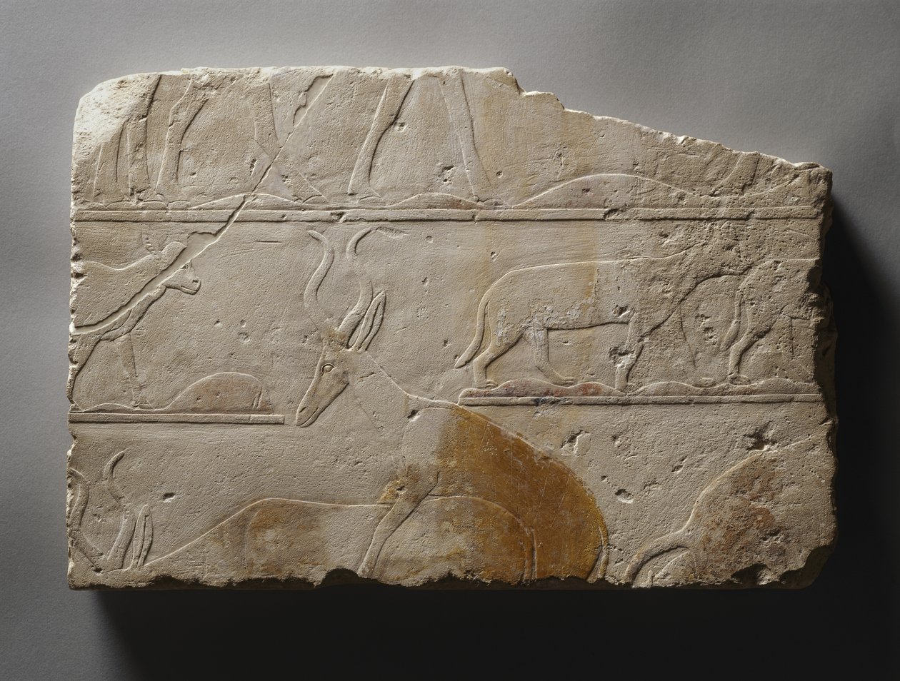 Relief with Desert Animals, Old Kingdom, Found at Saqqara by Egyptian 5th Dynasty