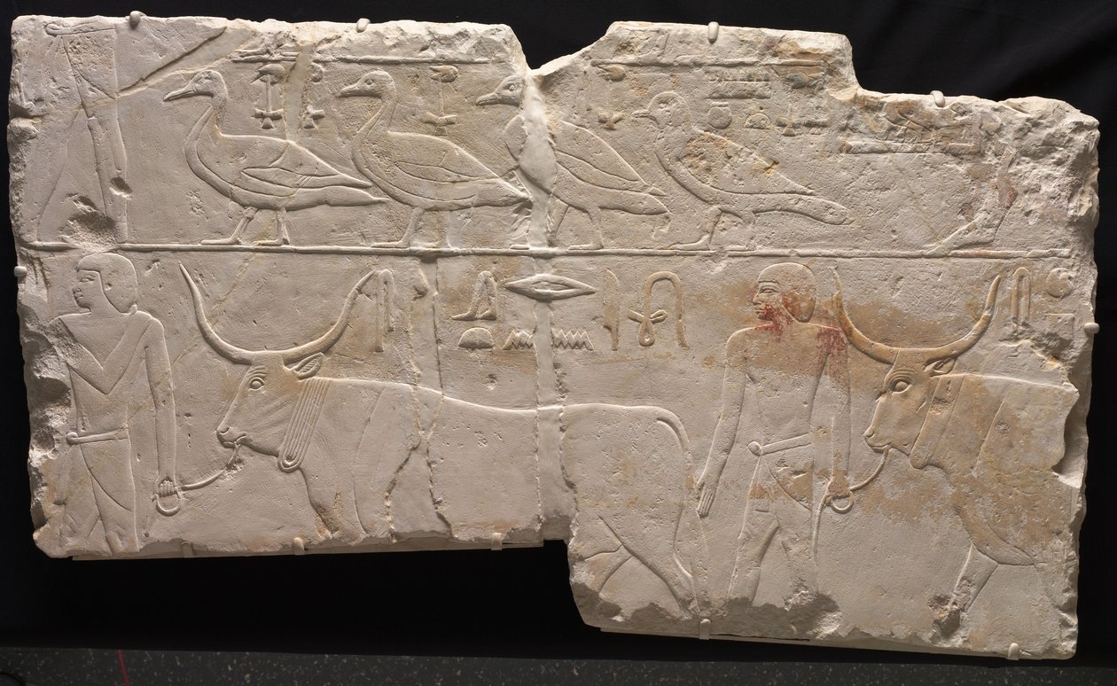 Relief of Men Bringing Birds and Cattle by Egyptian 6th Dynasty