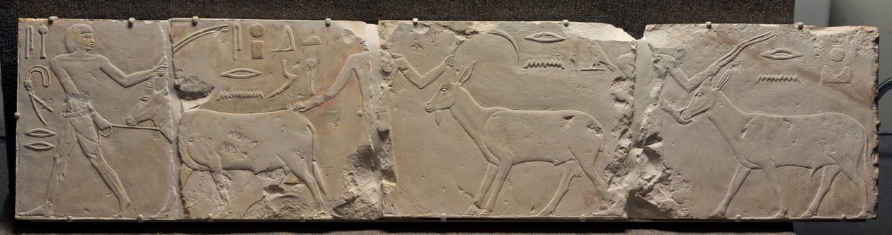 Relief of Men Bringing Desert Animals by Egyptian 6th Dynasty
